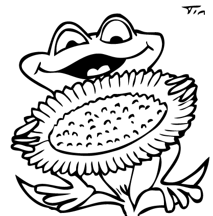 Żaby kolorowanki